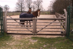 Houten Poort 0011