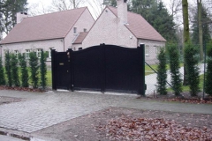 Houten Poort 0024