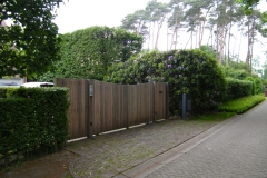 Houten Poort 0166