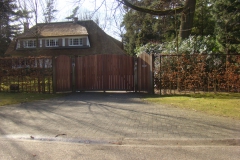 Houten Poort 0193